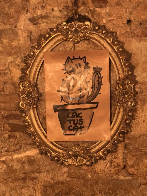 Inside at CactusCat Bar in Barcelona