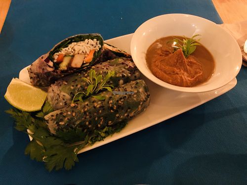 Spring rolls at CactusCat Bar in Barcelona