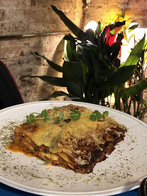 Lasagna at CactusCat Bar in Barcelona