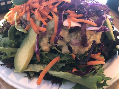 Happy camper salad at Juicy's Wellness Cafe in Murfreesboro