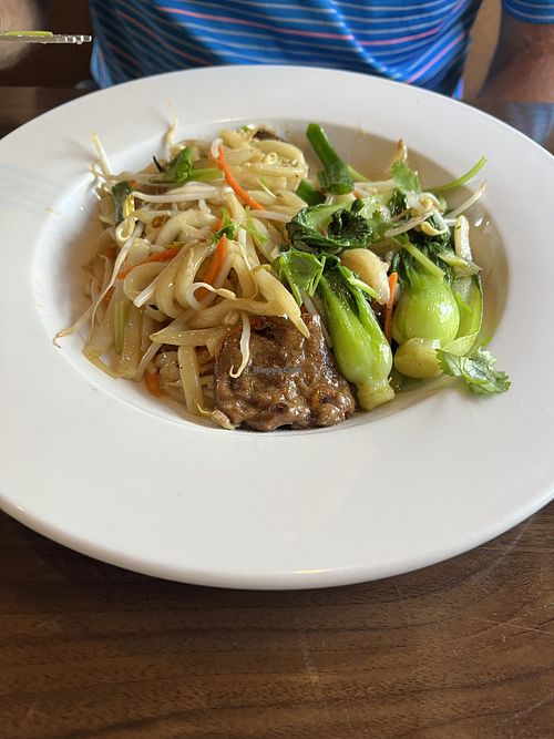 Mock duck noodles  at Viet Village in Fort Myers
