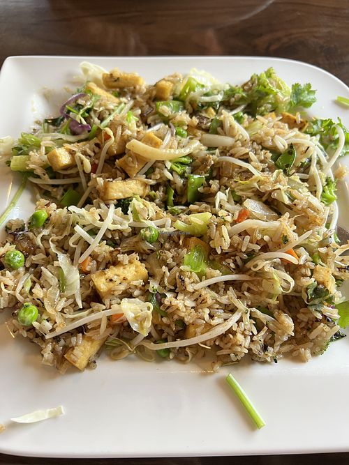 Tofu fried rice   at Viet Village in Fort Myers
