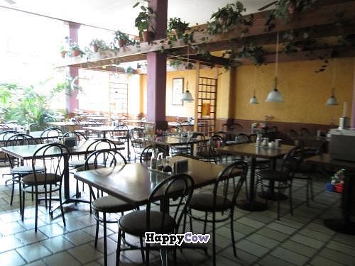 interior at Nirvana in Mexico City