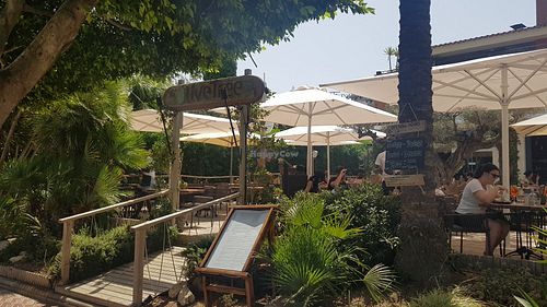 Exterior at The Olive Tree in Mallorca