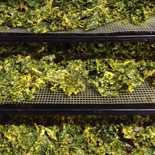 spicy kale chips at Light Body Wholistic Clinic and Organic Earth Juice Bar in Bridgetown