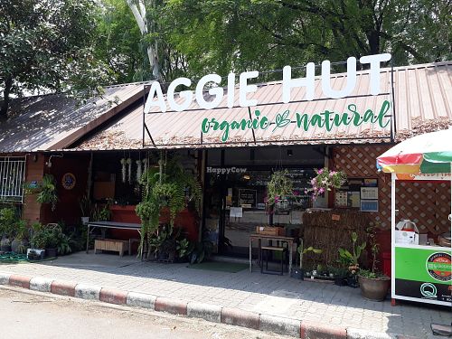 Outside at Aggie Hut in Chiang Mai