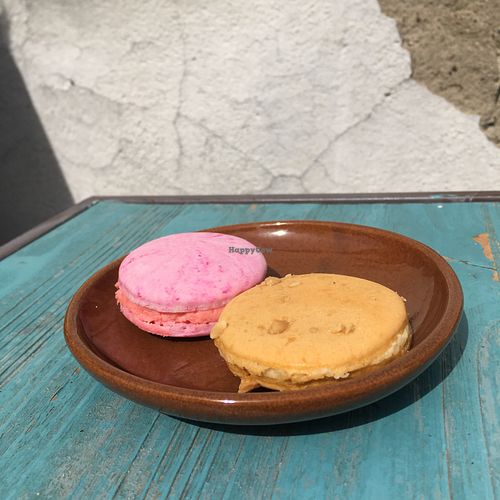 Delicious vegan macarons (raspberry and peanut butter) at Lisanna - Vegan Coffee Shop in Tallinn