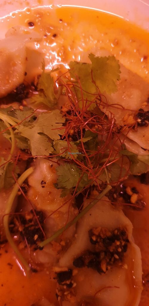 Gyoza in chilli oil at Chotto Motto in Collingwood