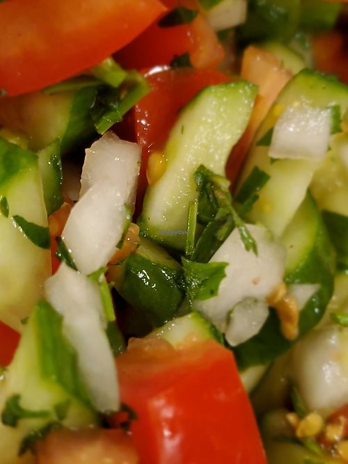  at Ein ElWadi in Haifa