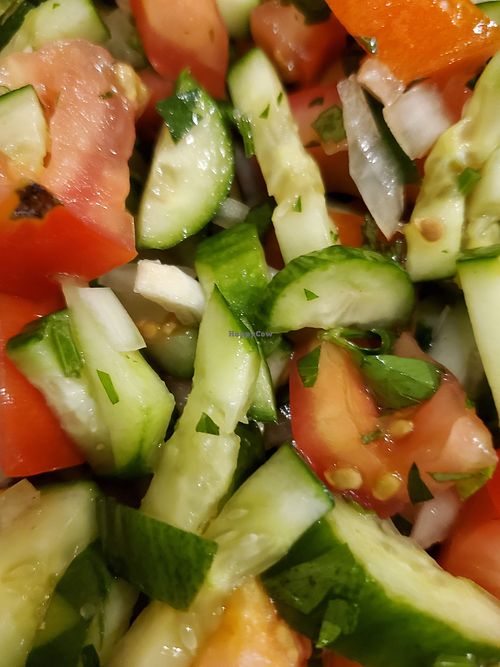  at Ein ElWadi in Haifa