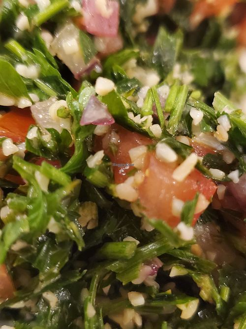  at Ein ElWadi in Haifa