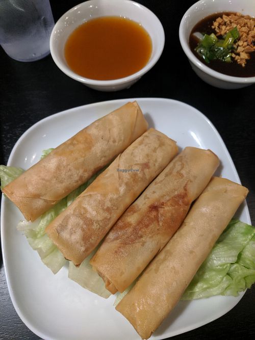 Vegan Spring Rolls at Pho HouZ in Calgary
