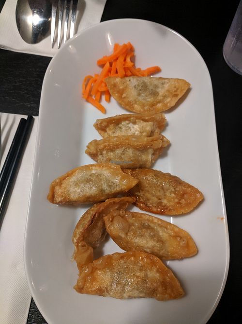 Vegan Dumplings at Pho HouZ in Calgary