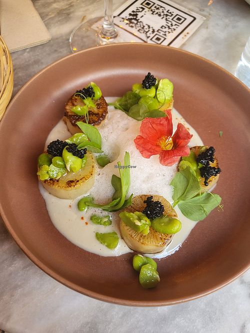 Trompe l'oleil of scallops (turnip), vegan caviar, shallot cream at Bloomy in Toulouse