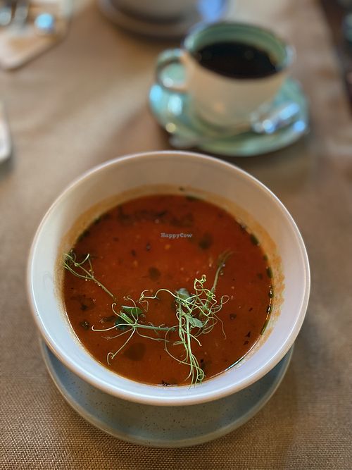 Tomato vegan soup at Pioner in Omsk