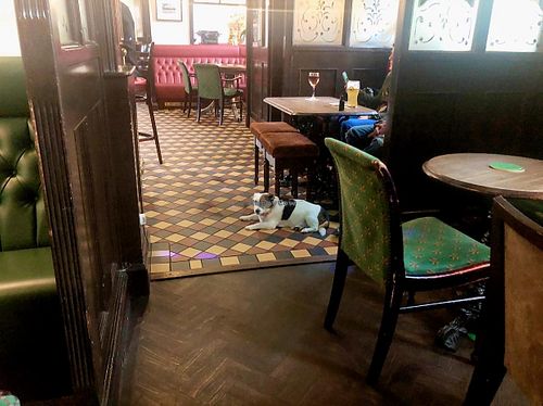 animals welcome at The Carriage in Newcastle Upon Tyne