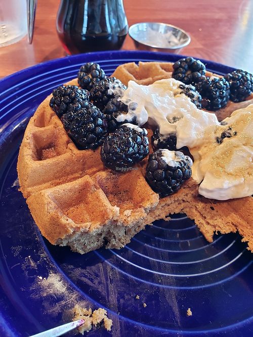 It's gluten free.. a little too GF. at The Grain Cafe in Redondo Beach