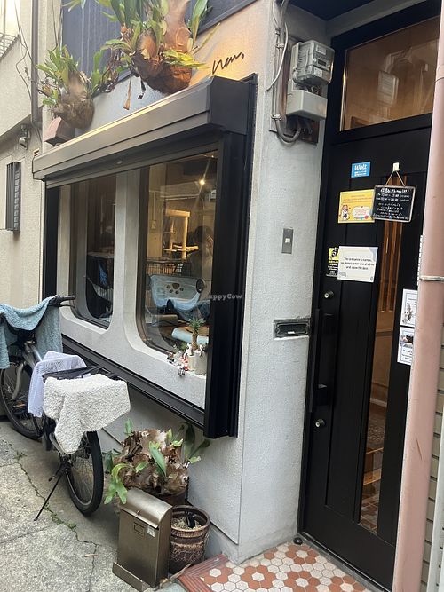   at Neu Cat Cafe in Osaka