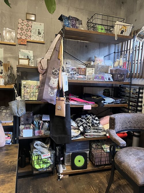   at Neu Cat Cafe in Osaka