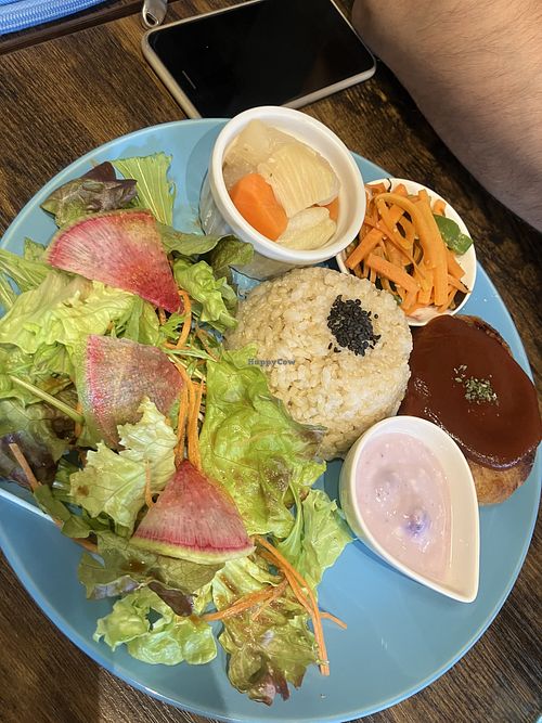   at Neu Cat Cafe in Osaka