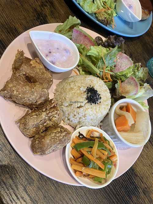   at Neu Cat Cafe in Osaka