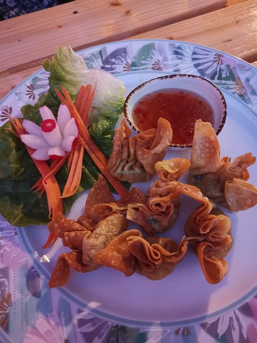 Wantan at Vegan Chay in Munich