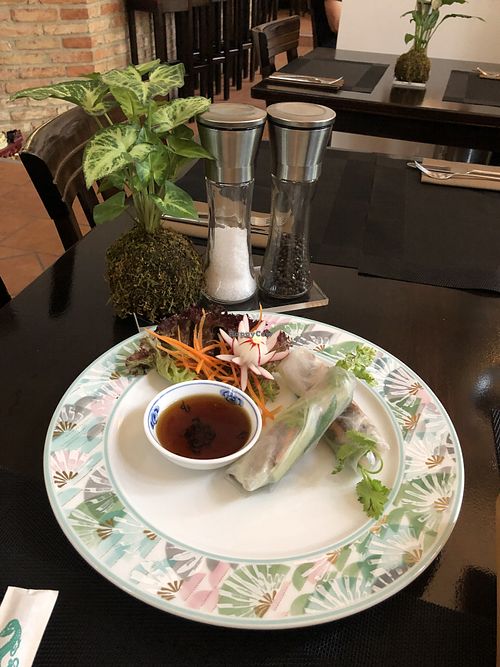 CUON DU DU. Summer rolls with papaya, soy meat and peanuts.  at Vegan Chay in Munich