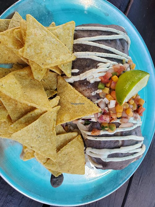 Tofu burrito with black bean queso crema at El Green Go's - Food Truck in Anchorage