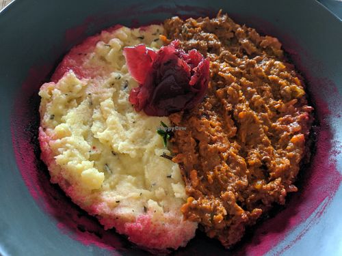 Goulash meal at Plant in Tallinn