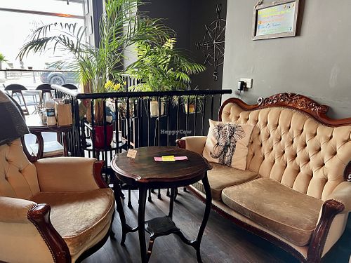 Sofa seating   at Bio Cafe in Aberdeen