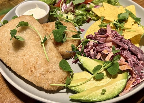 Fishless burgers  at Bio Cafe in Aberdeen