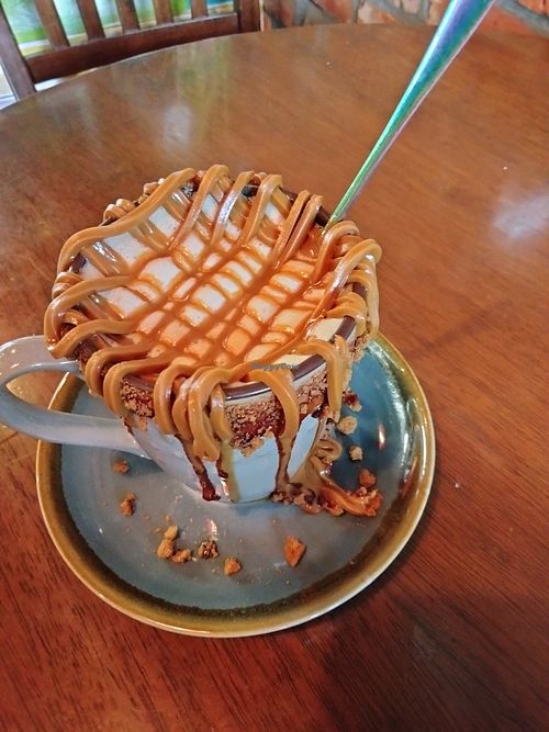  at Bio Cafe in Aberdeen