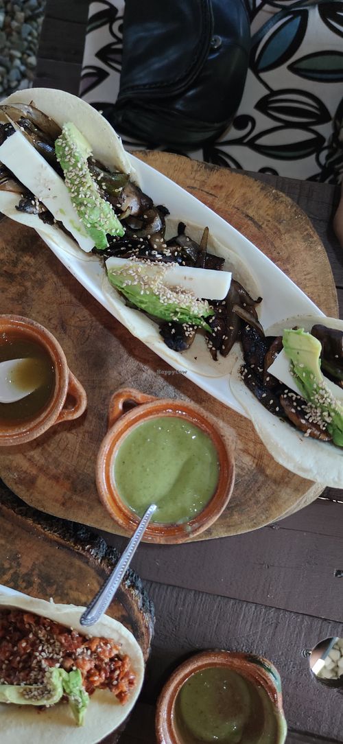 Tacos génesis with vegan cheese at Genesis 1:29 in Villahermosa