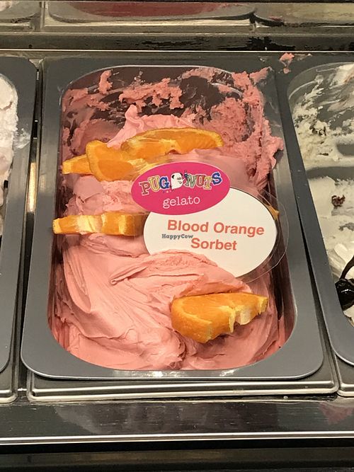 Vegan gelato sorbet at Pugnuts in Surry