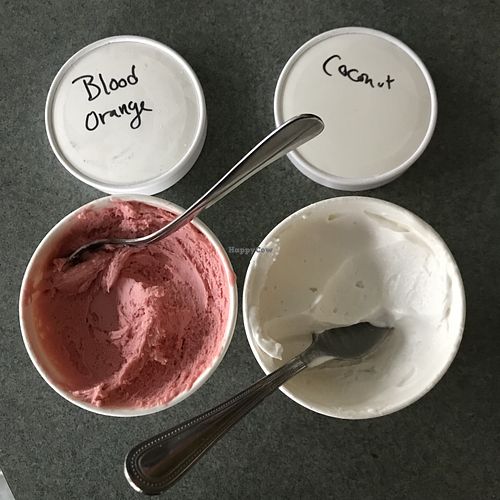 Vegan pints won’t last long at Pugnuts in Surry