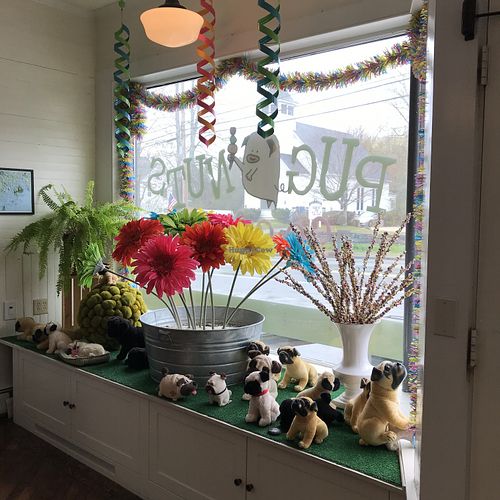 Window display at Pugnuts in Surry