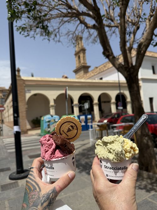 Chocolate & berry is vegan   at Stracciatella Helado Artesanal in Antequera