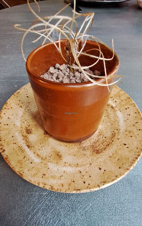 Lunch: Tiramisu at Saorsa 1875 in Pitlochry