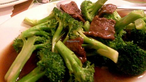 Beef and broccoli at Wheel of Life in Irvine