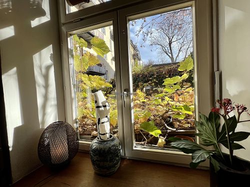 inside  at Tushita in Munich