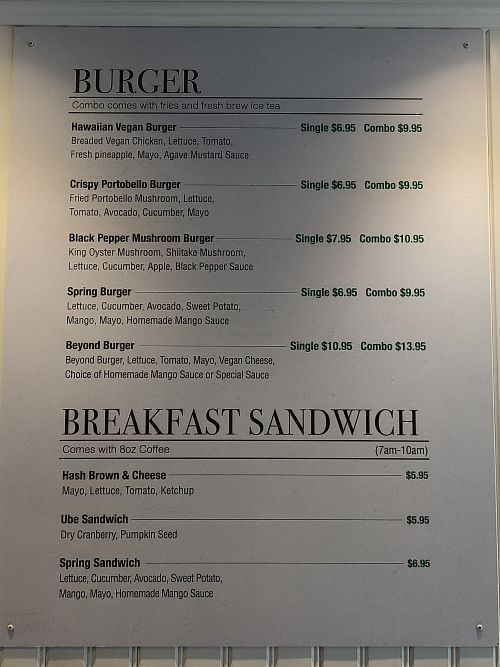 Menu at Spring Cafe in New York City