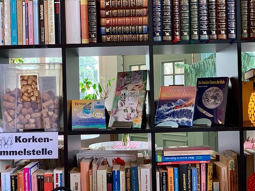 books to borrow (only inside, of course) at Eismanufaktur in der Alten Post in Bernau Bei Berlin