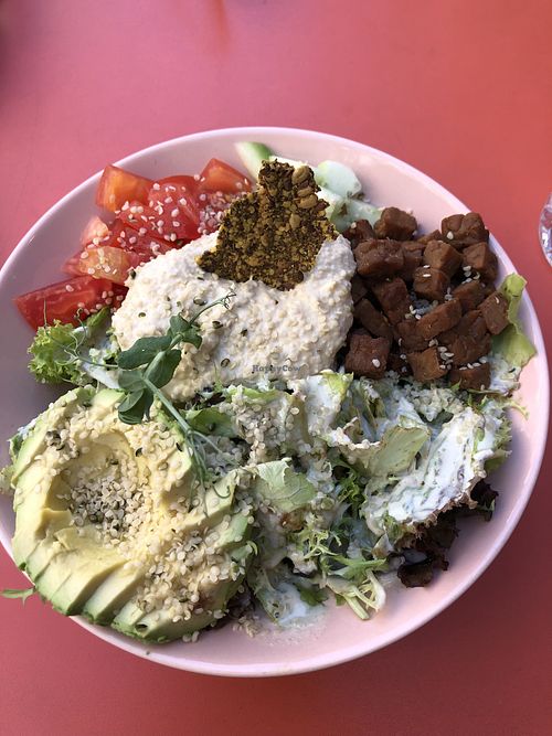   at The Lala in Vienna