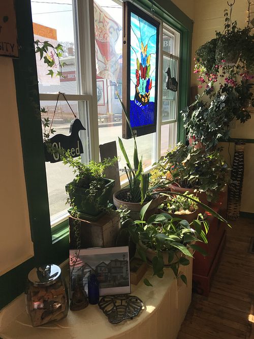 Plants in the front window at Sally Ann's Cafe and Market in Lubec