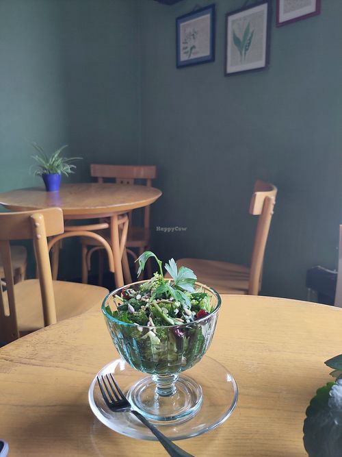 Very refreshing salad with broccoli and spinach at Vilties Vaistinės Arbatine in Kaunas