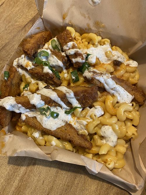 Jess Mess at Seitan's Realm in Columbus