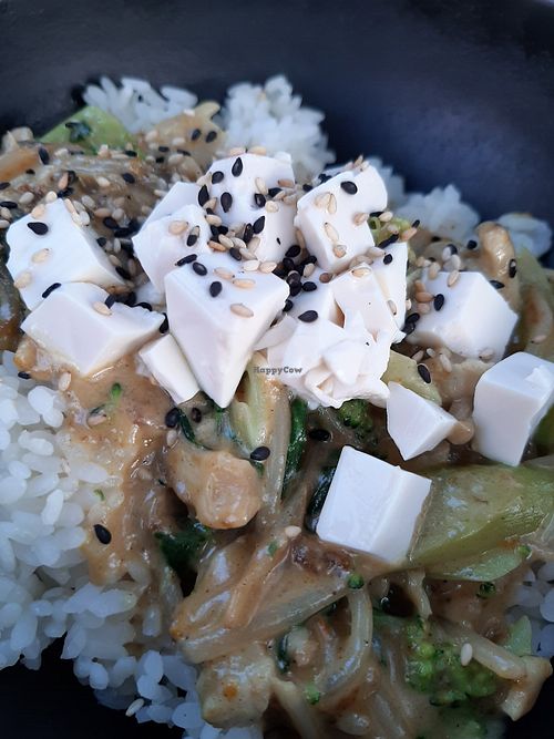 Alles mit Nudeln ...nicht mit Reis at UDON - Cala Ratjada in Mallorca