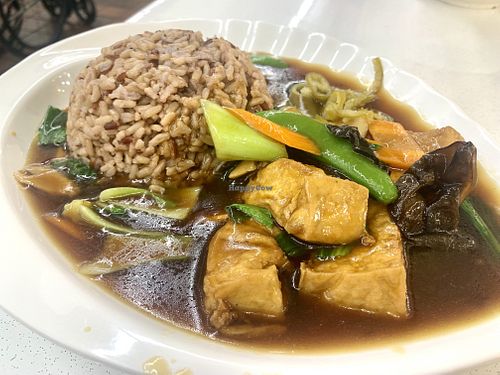 Braised tofu with rice: 👍🏽   at Red Apple 红苹果素食 - Blk 16 Teck Whye in West Singapore