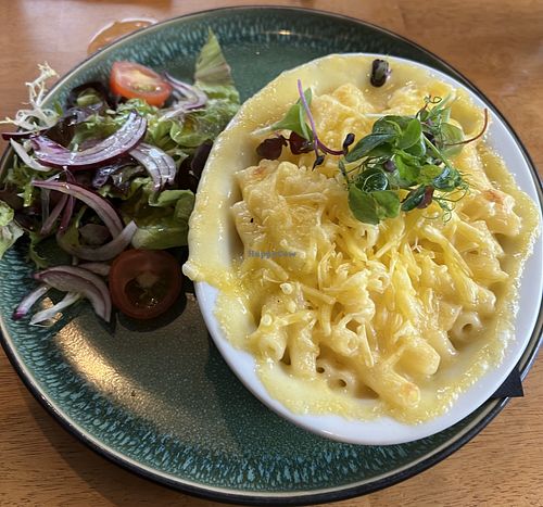 Vegan macaroni cheese  at The Drift Inn in Isle Of Arran