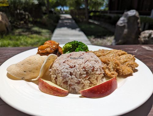 Lemon chicken meal at Water Drop Vege Cafe at Fo Guang Shan Temple in Auckland